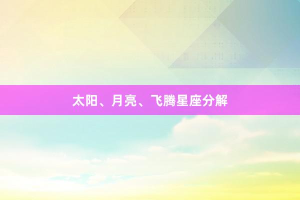 太阳、月亮、飞腾星座分解