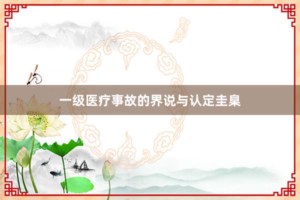 一级医疗事故的界说与认定圭臬