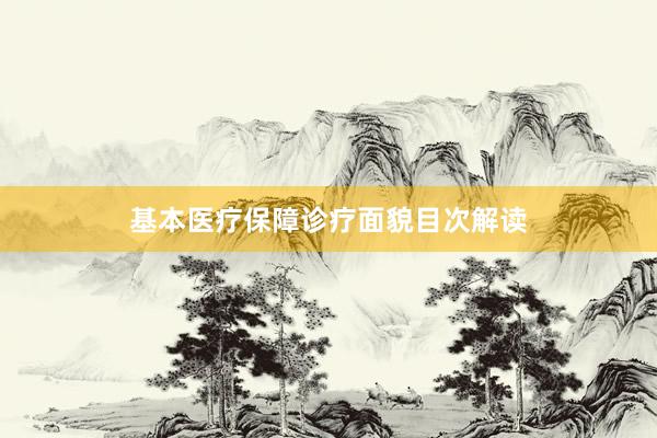 基本医疗保障诊疗面貌目次解读