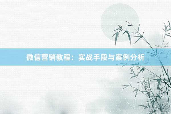 微信营销教程：实战手段与案例分析